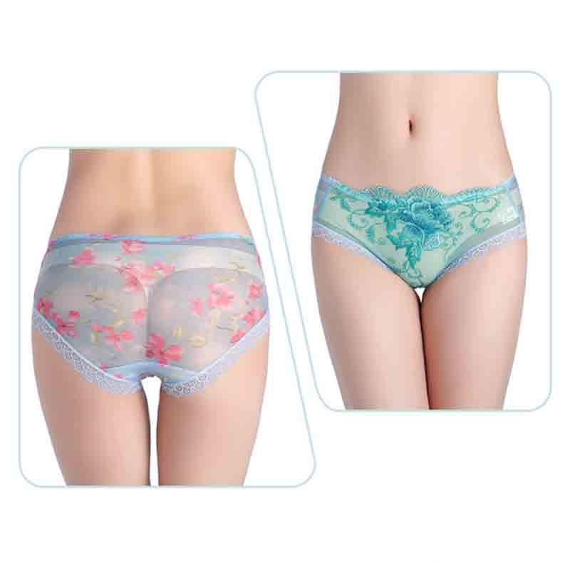 Daily Wear Cotton Panty Pack of 3