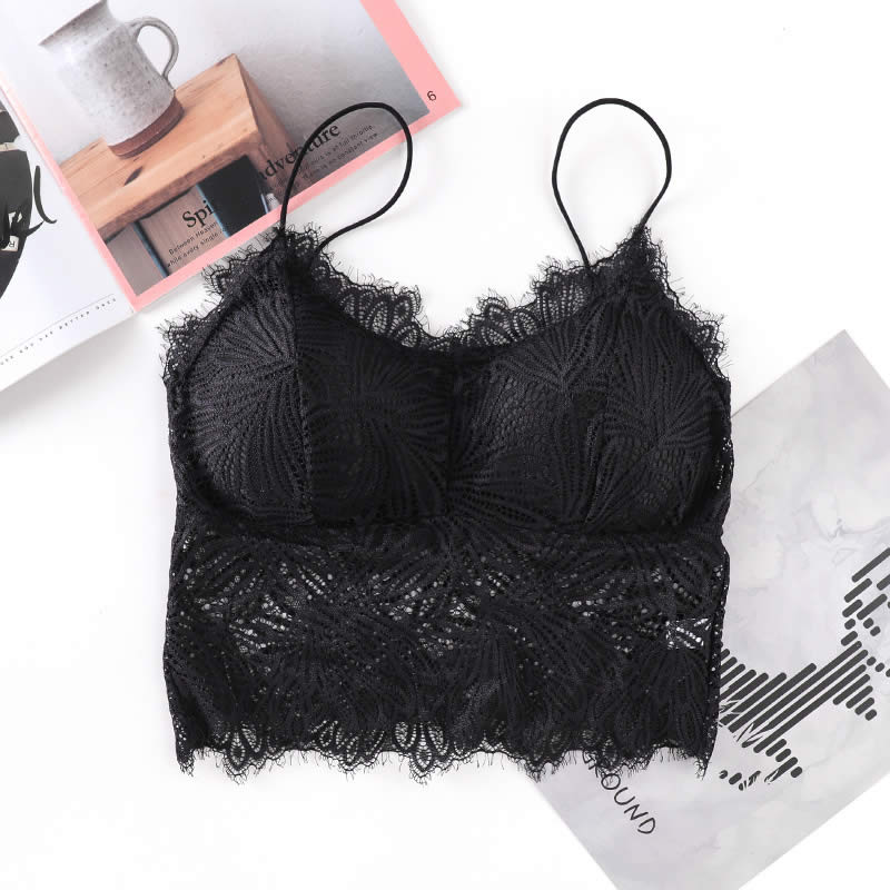 Embroidered Floral Lace Full Padded Crop Bralette Top, Lingerie, Sports Bra  Free Delivery India.