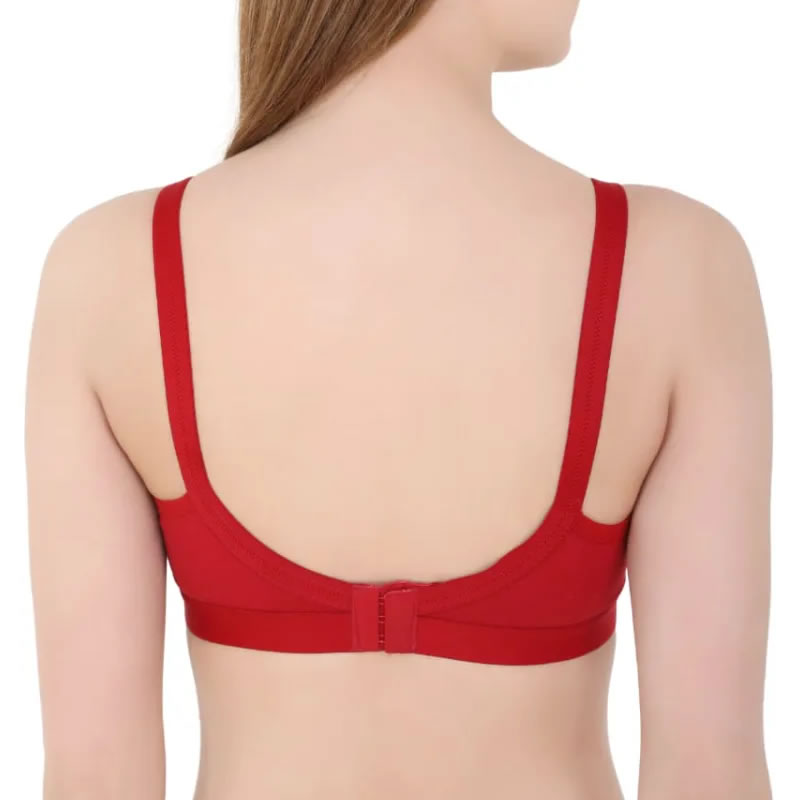 Bodybest C Cup With Heavy Quality Premium Bra - Pack of 3