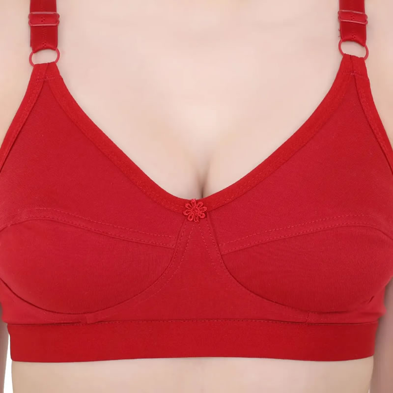 Bodybest C Cup With Heavy Quality Premium Bra - Pack of 3