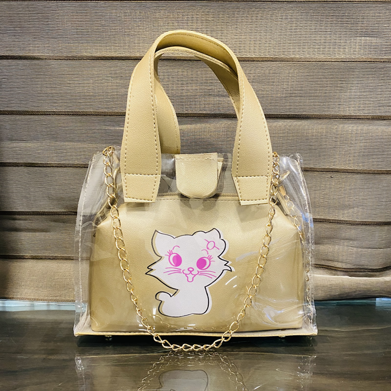 Small Trendy Stylish Transparent handbag