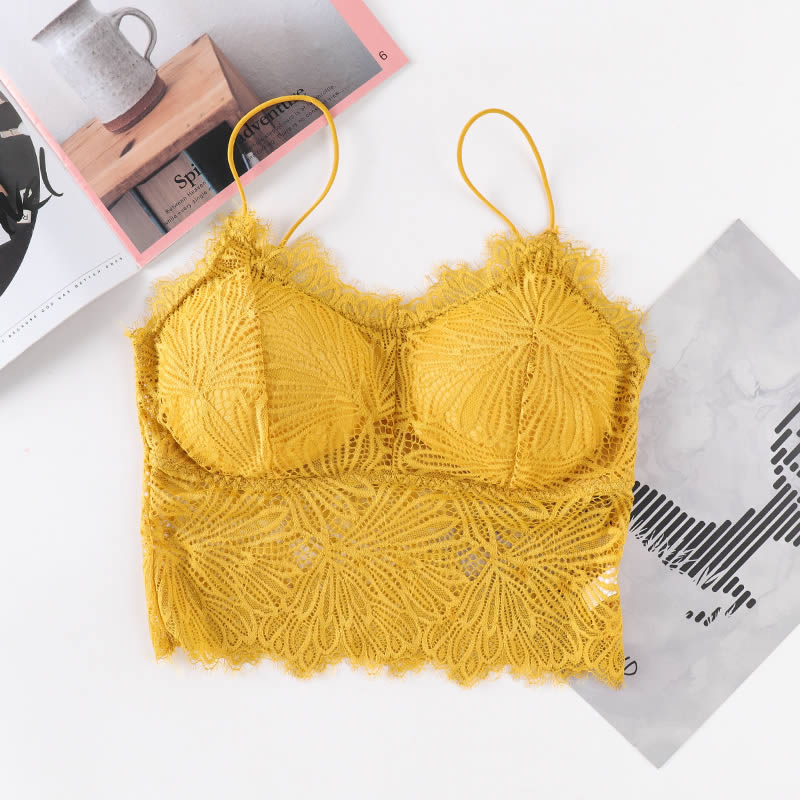 Embroidered Floral Lace Full Padded Crop Bralette Top Lingerie