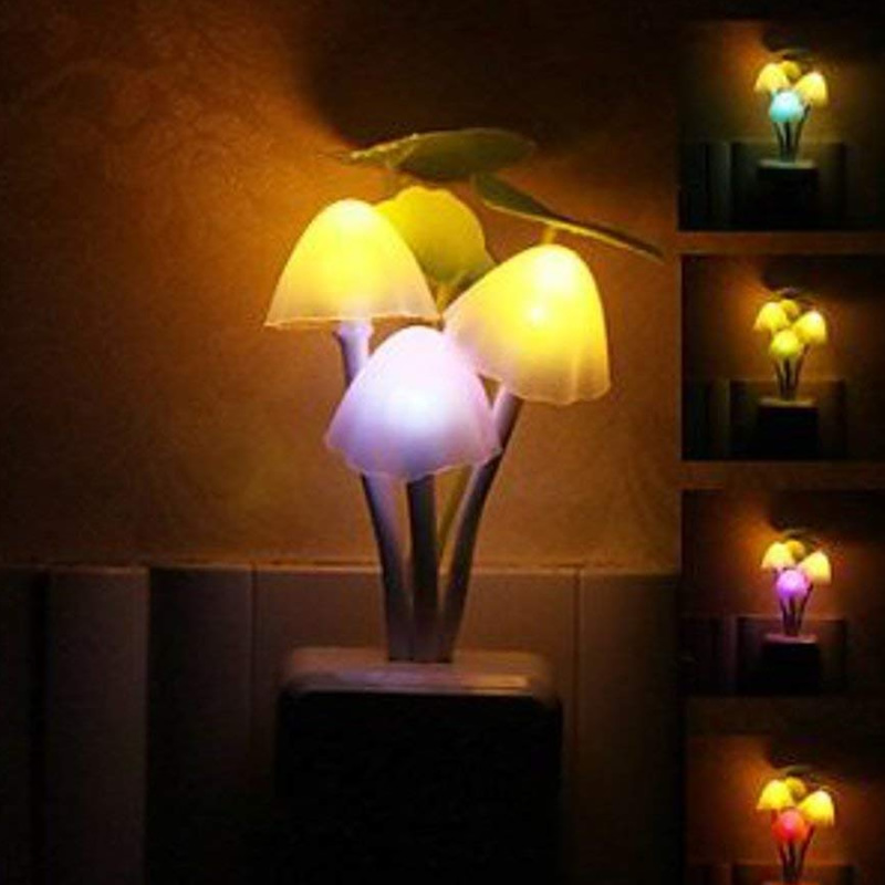 Mushroom Flowers Changing Magic Led Light Lamp, More, Collectables Free ...