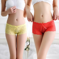 Floral Lace Transparent Shorts Low Waist Panties (2 Pcs)