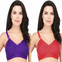 D-Cup Cotton Hosiery Full Coverage Bra (Pack of 2)