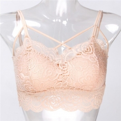 Lace Design Cross Stripes Bralette Padded Crop Top