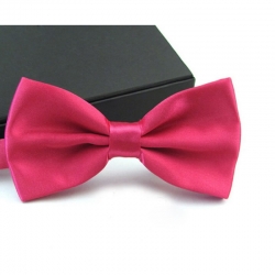 Candy Colors Clip On Bow Tie With Neck Strap For Kids Party Costume