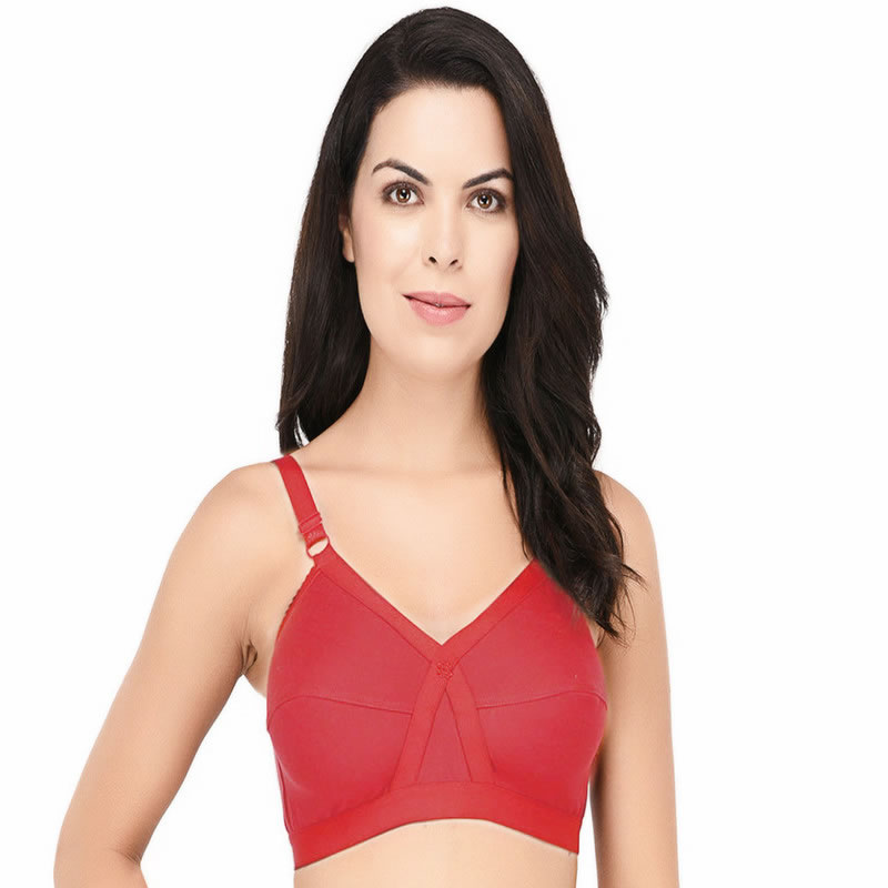 D-Cup Cotton Hosiery Full Coverage Bra (Pack of 2)