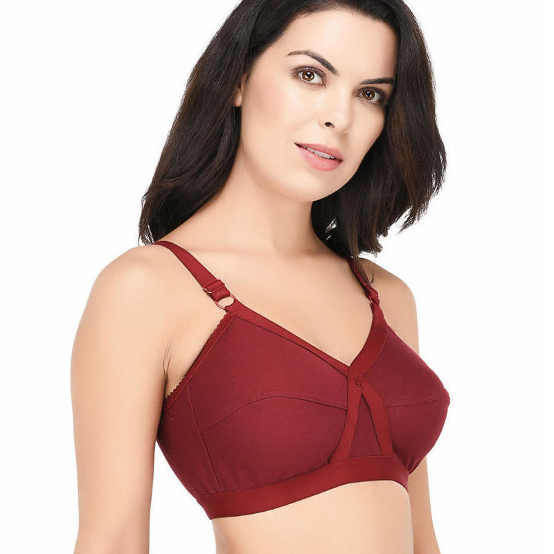 Purple Solid Transparent Straps Lightly Padded Push-Up Bra